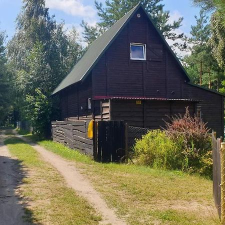 Domki Nad Jeziorem, Las, Do 10 Osob Jezioro Wilczynskie Budzislawskie - Domek Letniskowy Osobno Ogrodzony, Ogrzewany Mile Widziane Pieski, Zwierzeta- Wielkopolska, 62-550 Zygmuntowo Gm Wilczyn المظهر الخارجي الصورة