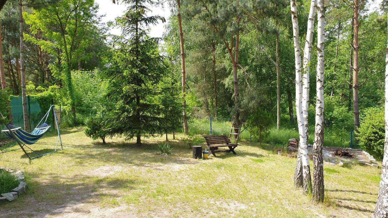 Domki Nad Jeziorem, Las, Do 10 Osob Jezioro Wilczynskie Budzislawskie - Domek Letniskowy Osobno Ogrodzony, Ogrzewany Mile Widziane Pieski, Zwierzeta- Wielkopolska, 62-550 Zygmuntowo Gm Wilczyn المظهر الخارجي الصورة