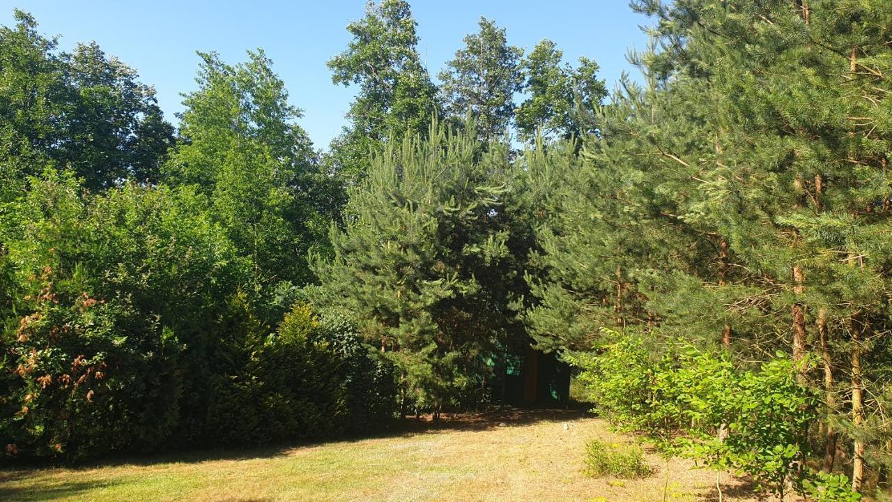 Domki Nad Jeziorem, Las, Do 10 Osob Jezioro Wilczynskie Budzislawskie - Domek Letniskowy Osobno Ogrodzony, Ogrzewany Mile Widziane Pieski, Zwierzeta- Wielkopolska, 62-550 Zygmuntowo Gm Wilczyn المظهر الخارجي الصورة