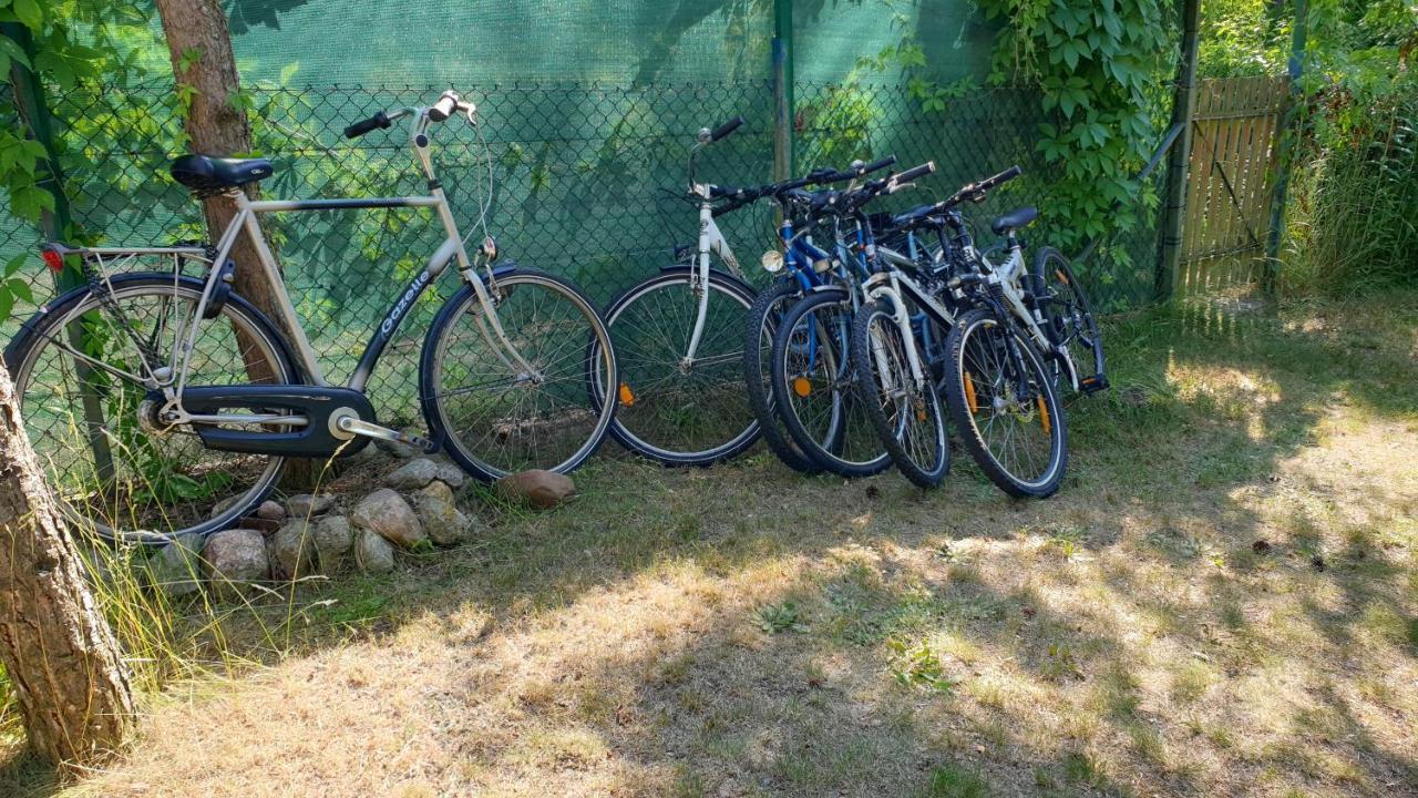 Domki Nad Jeziorem, Las, Do 10 Osob Jezioro Wilczynskie Budzislawskie - Domek Letniskowy Osobno Ogrodzony, Ogrzewany Mile Widziane Pieski, Zwierzeta- Wielkopolska, 62-550 Zygmuntowo Gm Wilczyn المظهر الخارجي الصورة