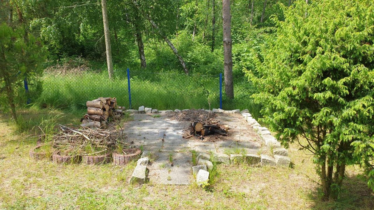 Domki Nad Jeziorem, Las, Do 10 Osob Jezioro Wilczynskie Budzislawskie - Domek Letniskowy Osobno Ogrodzony, Ogrzewany Mile Widziane Pieski, Zwierzeta- Wielkopolska, 62-550 Zygmuntowo Gm Wilczyn المظهر الخارجي الصورة